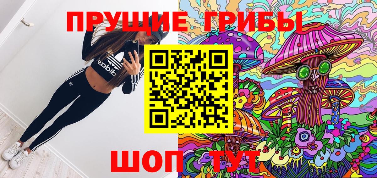 Галлюциногенные грибы GOLDEN TEACHER  как найти   Галлюциногенные грибы прущие грибы  Касимов  Вход с VPN 