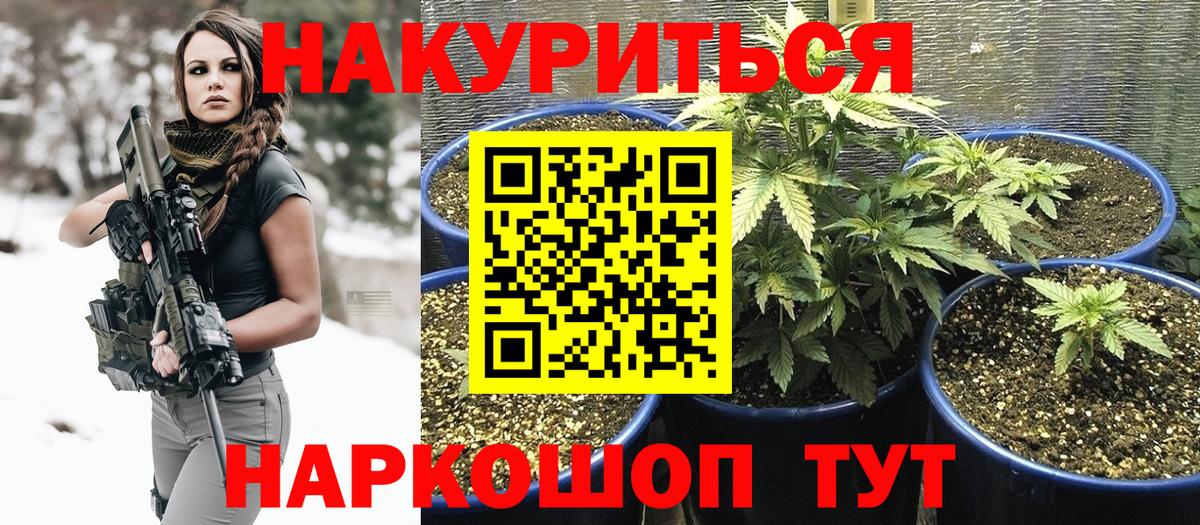 Бошки Шишки AK-47  Конопля OG Kush  Вход с VPN  МАРИХУАНА гибрид  Шишки марихуана Ganja  Касимов 
